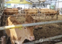 어느 것이 맞는 거야?…믿기 힘든 가축사육 통계