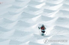[올림픽] 모굴스키