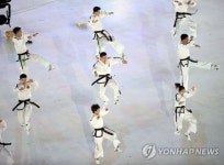[올림픽] 북측 태권도 시범단의 공연