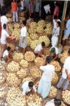 1970년대 부천 심곡동 깡시장