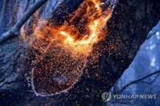 시뻘건 불씨 토해내는 삼척 도계 산불