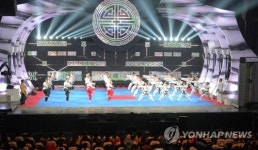 남북 태권도 합동 시범단