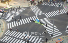 부산 벡스코 앞 등 11곳에 대각선 횡단보도 추가 설치