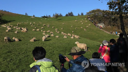 강원도 축산체험농장 26개소에 144만명 방문…142억원 소득