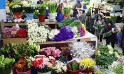 하원화훼공방 | 우수, '활기 넘치는 꽃시장'