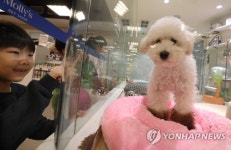 강아지는 내 친구