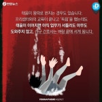 [카드뉴스] 
