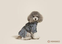 개셔니스타 공략 나선 패션업계…애견옷 브랜드 론칭