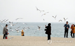 해수욕장에서 보내는 휴일