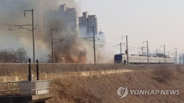 파주 금릉역 선로 옆 불길