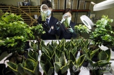 농림축산검역본부 수입산 묘목 해충 검역