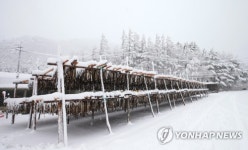 눈 내린 황태덕장