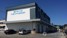 인천·강원·전남에 수산물산지거점유통센터 생긴다