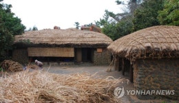 봄맞이 제주 전통초가 단장
