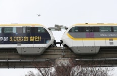 폭설에 대구도시철3호선 두 방향 열차 운행 중단 잇따라(종합2보)