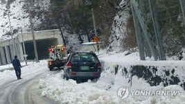 치워도 끝이 없는 눈…강원대 도계캠퍼스 휴교