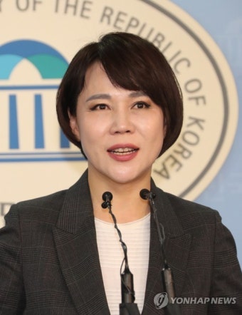 전현희 의원 서울시장 불출마
