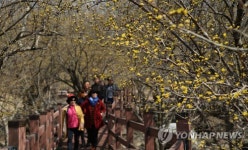 성큼 다가온 지리산의 봄