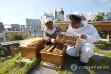 광주시양봉연구회(현성양봉원) | '꿀벌 키우실 분…' 광주시 양봉체험 희망자 모집