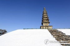 충주 탑평리 칠층석탑