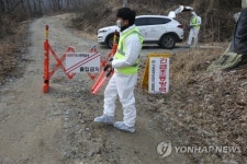 AI 검출 충북 음성 오리 농장 출입 통제