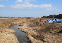 [충남소식] 당진시 역천 생태하천 복원 추진