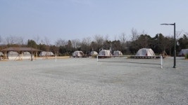 서울시, 함평 나비마을에 캠핑장 개장…1박에 2만5천원