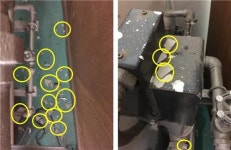 석면제거 후 대청소도 했는데…개학한 초중고서 또 석면 검출