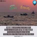 [카드뉴스] 뭔가 수산한 그들이 섬총사·도시 어부가 된 까닭은?
