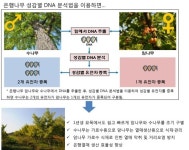 가로수 은행 열매 악취 해결, 기술이전으로 빨라진다