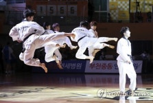 평창올림픽 출연 태권도 시범단 공연