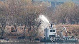 밤섬 봄맞이 대청소