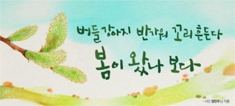 버들강아지 반가워 꼬리 흔든다… 서울도서관 외벽 새 글귀