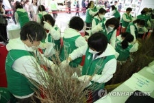 마스크 쓴 채 묘목 준비