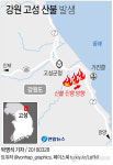[그래픽] 강원 고성 산불 발생