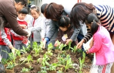 송파 글마루도서관 2018 공동체정원조성