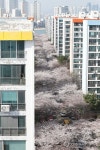 아파트 단지 뒤덮은 벚꽃