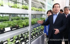 수직농장 설명 듣는 박원순
