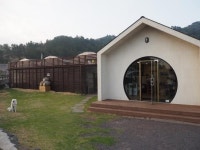 불모지서 세계 첫 커피와인 특허…제주 커피농장 가다