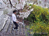 꽃길 걸으며 하루 시작