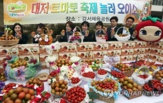 대저토마토 축제오세요