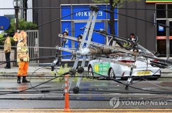 사고로 넘어진 전신주