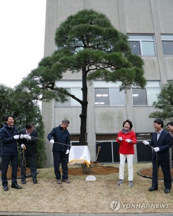 식목일 기념식수 표지석 제막하는 문 대통령