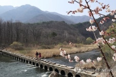 산골에 내려앉은 봄