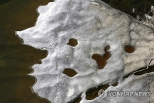 장군목의 기묘한 바위들