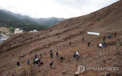 강산을 푸르게…춘천 나무심기