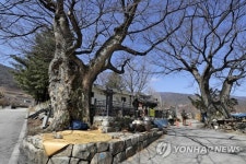 배점마을 삼괴정