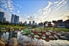 [김포소식] 구래동 인구 5만 명 돌파…김포 인구의 13%