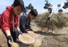 왕겨와 볏짚으로 친환경 멀칭합니다