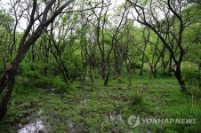고창 운곡람사르습지 농산물 싸게 사세요…토요장터 운영